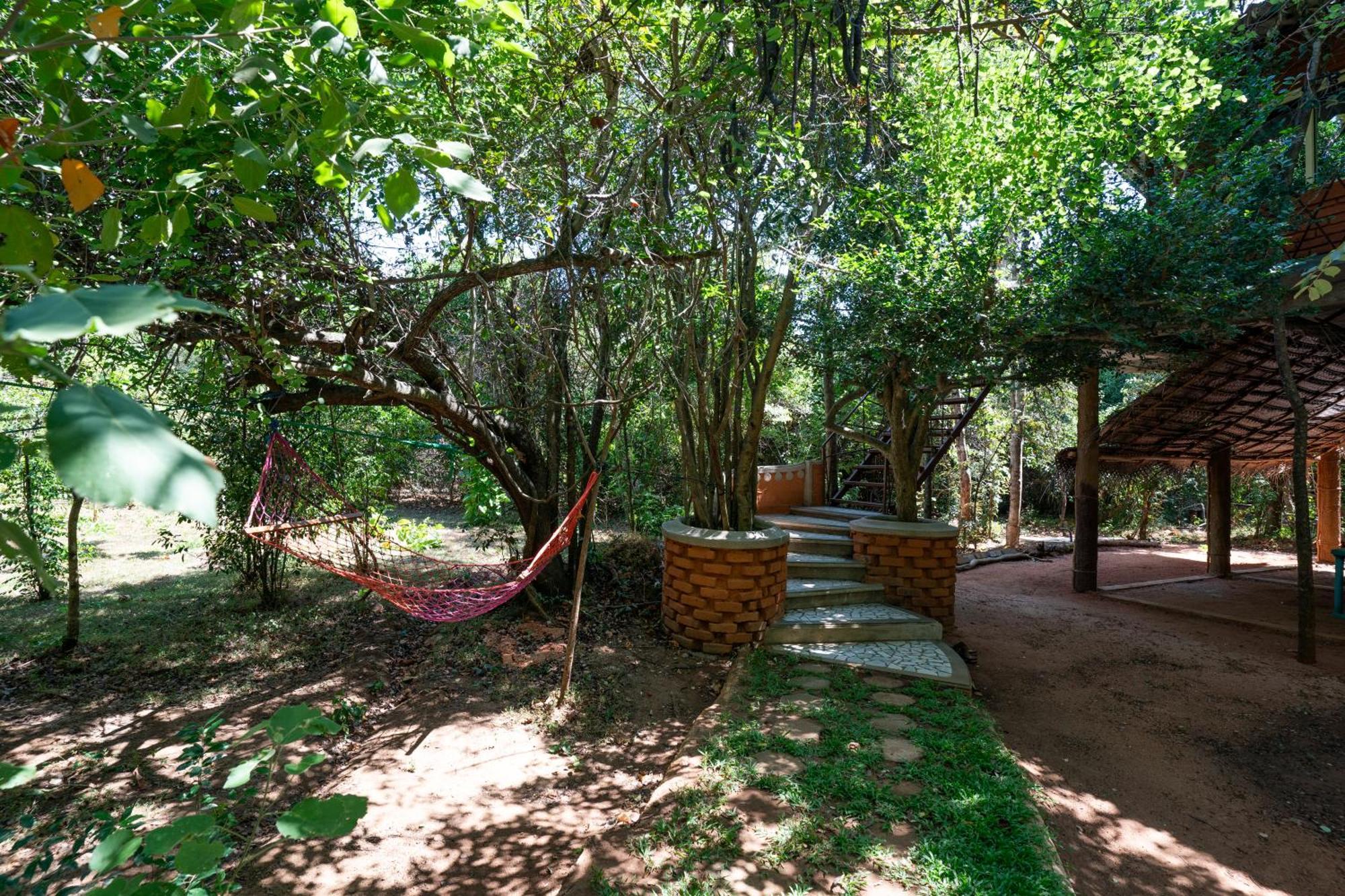 The Thick Forest สิกิริยา ภายนอก รูปภาพ