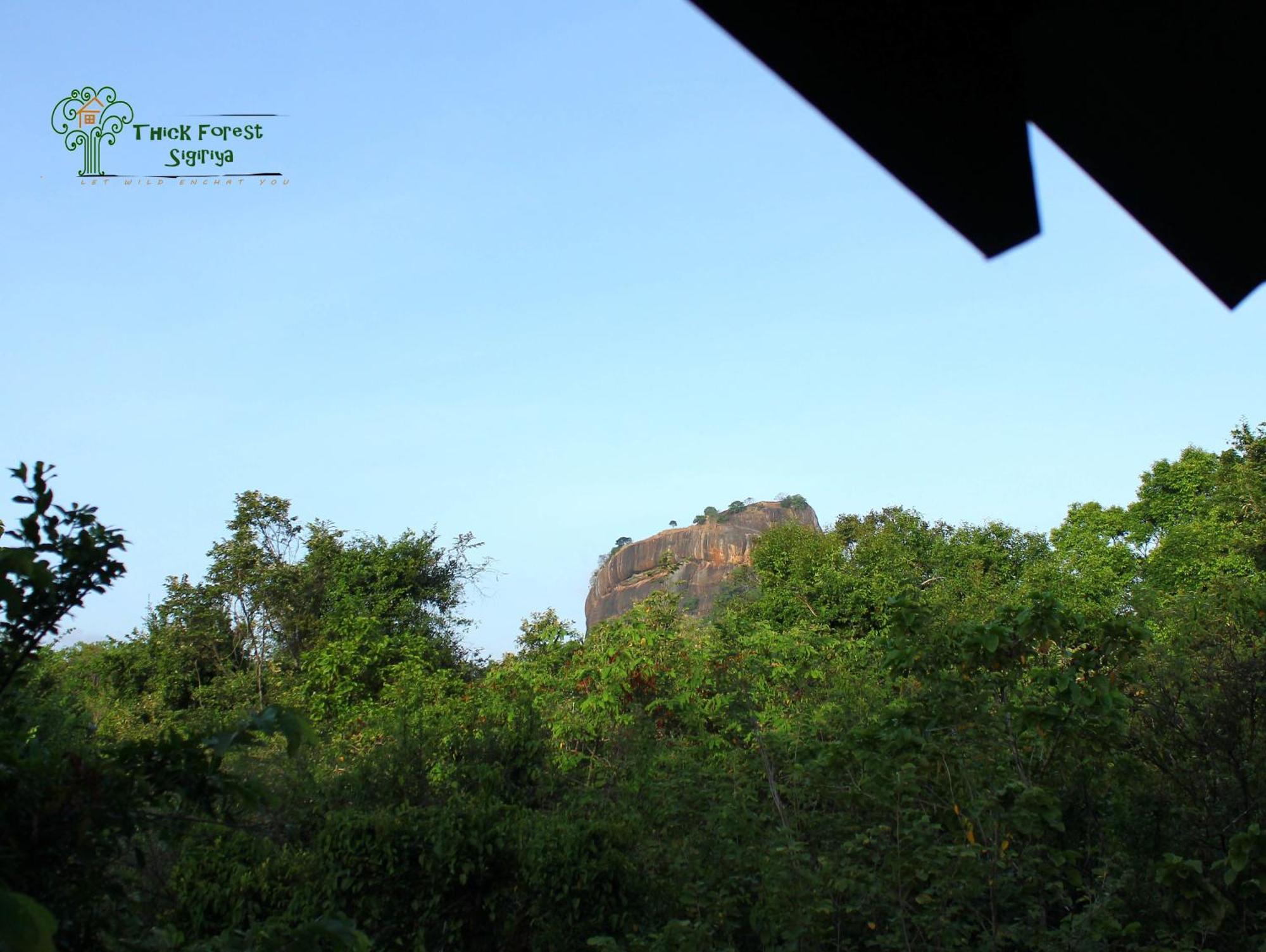 The Thick Forest สิกิริยา ห้อง รูปภาพ