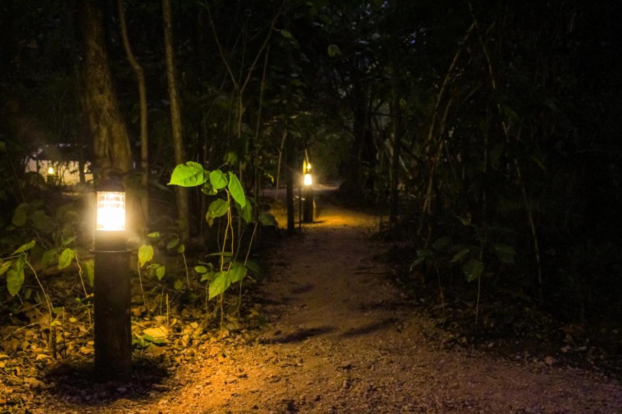 The Thick Forest สิกิริยา ภายนอก รูปภาพ