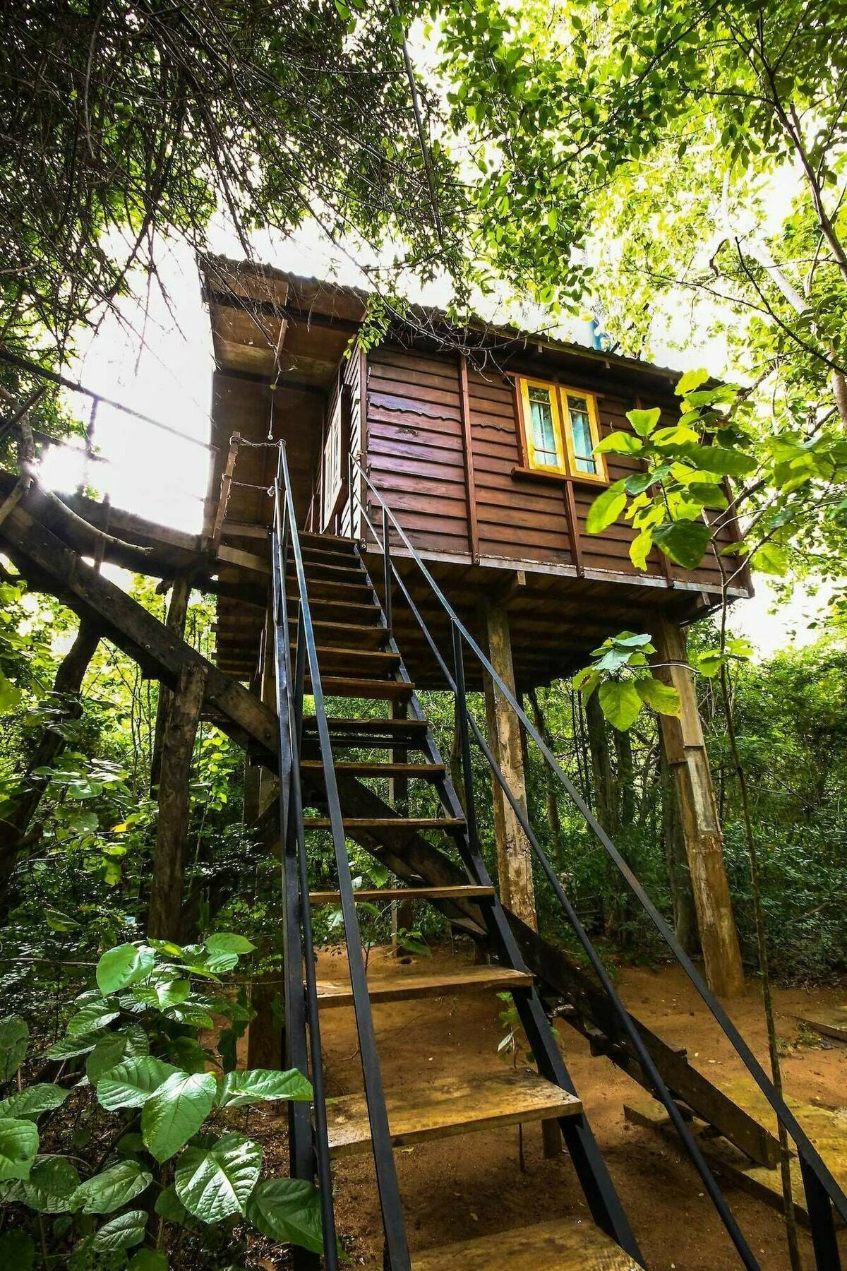 The Thick Forest สิกิริยา ภายนอก รูปภาพ