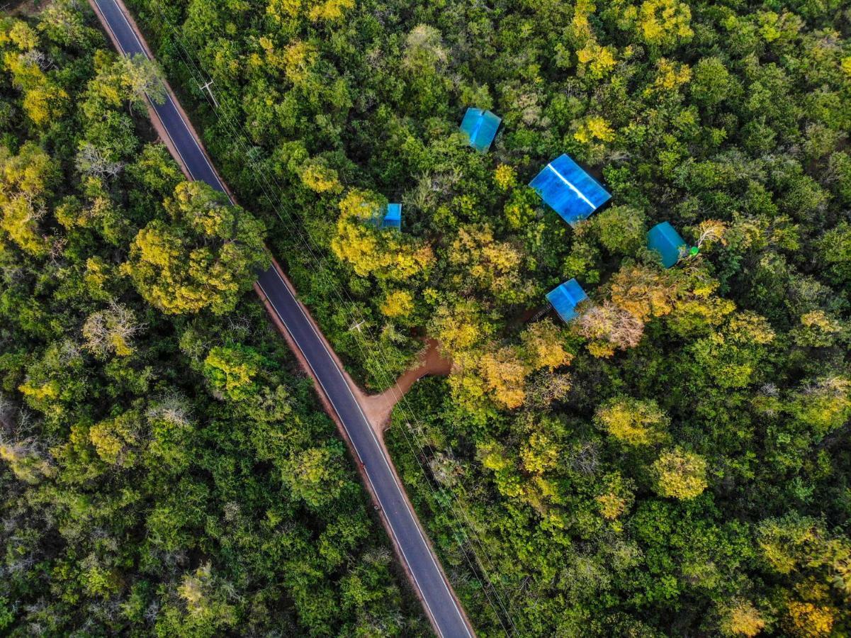 The Thick Forest สิกิริยา ภายนอก รูปภาพ